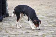 wintergluehen-05_web